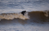 Rhos Point 30th January 2016 portfolio