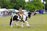 SBM_02605