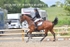 BPP_2179