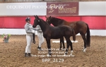 BPP_2129