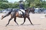 BPP_7353