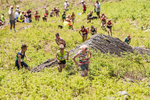 Coniston Junior-74