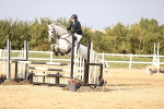 SBM_03803
