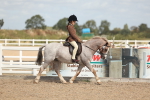 SBM_23295