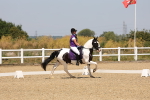 SBM_004343