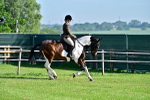 SBM_11498