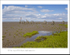 The Wash, Source Of The Fenland's