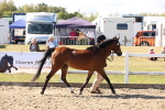 SBM_14052