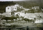 IOM Port Soderick 12