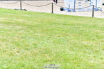 260630A-124228-06460