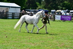 SBM_03897