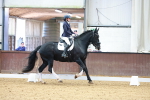SBM_001981