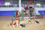 SBM_008411