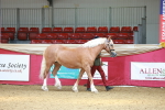 SBM_02954