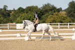 SBM_006915