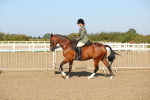SBM_01213
