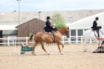 SBM_03352