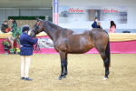 SBM_00308