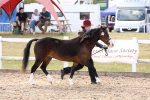 SBM_15033