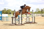 SBM_003439