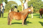 SBM_57427