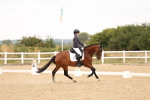 SBM_000865
