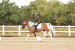 SBM_001357