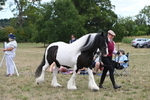 WJ6_5200