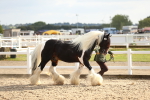 SBM_08568