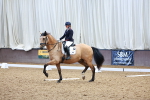 SBM_000453