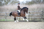 SBM_006335