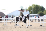 SBM_16739