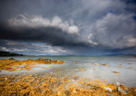 Broadford Squall