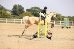 SBM_002193