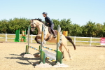 SBM_005330