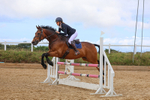 Class 9: Senior British Novice/90cm open portfolio