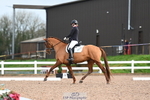 173-Emily.Ormerod-Compton.Violetta portfolio