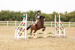 SBM_007295