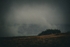 DSCF4197