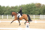 SBM_008037