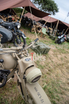 Guernsey Agricultural Show 2021-118