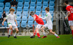 U15 Star Trophy 2023-140