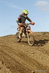 MX 291011 559