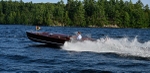 Whippet23-3119