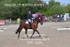 BPP_5596
