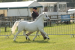 SBM_00636