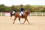 SBM_001359