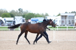 SBM_15363