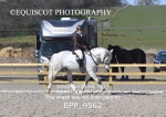 BPP_9562