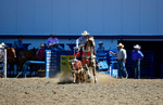 3HRodeo8-11-25_PRCASteer_02147_